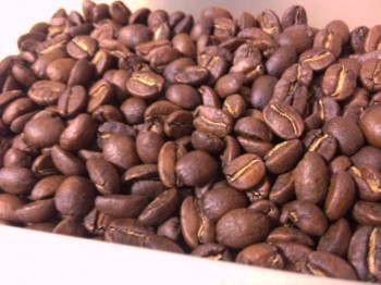 ニカラグア-ブエノスアイレス焙煎後アップ